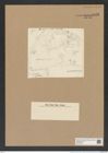 Actinoptychus sp. (de-Toni-Nr.: Genus 227, Species 5519 ?) Zeichnungen Sammlung Grunow Nr. 9523 (NHMW-BOT-W0379514)